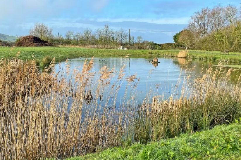 Rookery Manor Lodges- Lodges For Sale in Somerset Rookery Manor Lodges- Lodges For Sale in Somerset