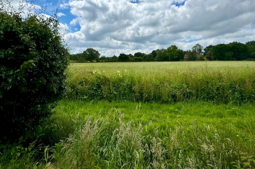 St Brelades Park in Kent St Brelades Park in Kent