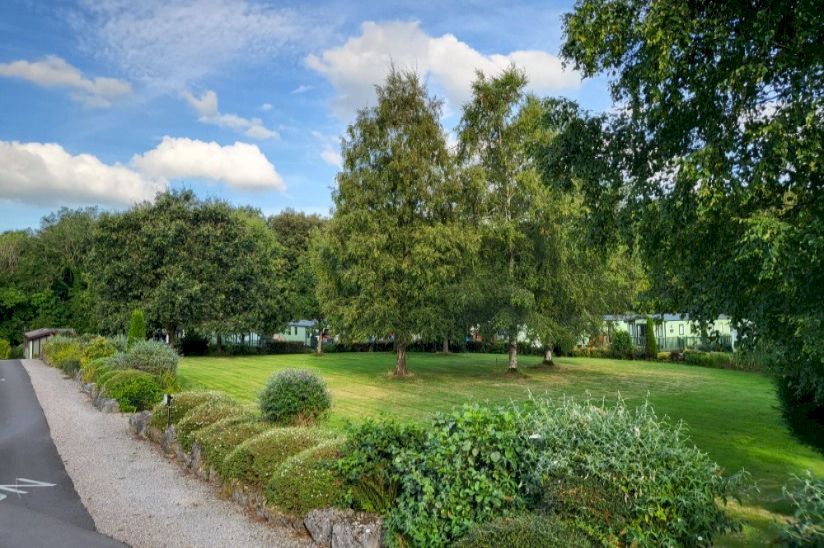 The Glade