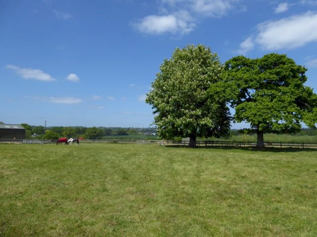 Organford Manor Country Park