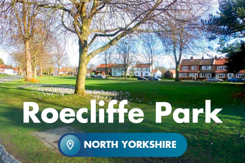 Roecliffe Park Homes For Sale, Yorkshire Roecliffe Park Homes For Sale, Yorkshire