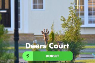 Deers Court, Wimborne, Dorset