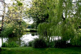 Shirkoak Park, Ashford, Kent