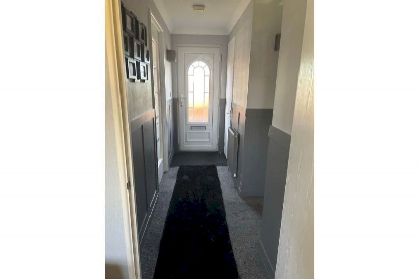 Two Bed Omar Colorado (42x20) Two Bed Omar Colorado (42x20)